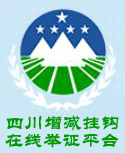 四川增减挂钩在线举证平台