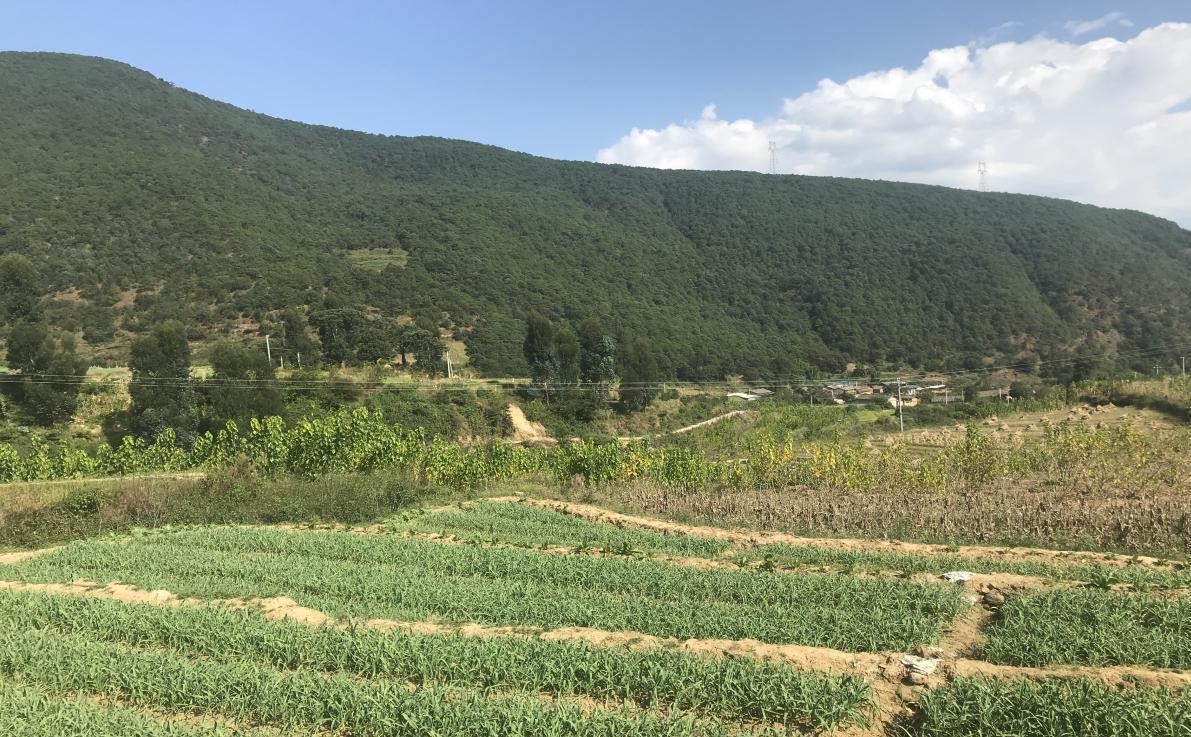 竣工影像